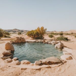 Inicio v2 - Termas