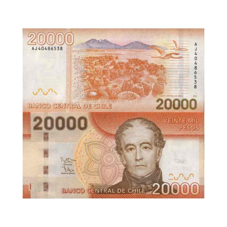 Billete de banco colección Chile - PK N° 165 - 20.000 Pesos - La Maison du Collectionneur