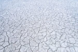 Salar de Coposa Visita Tarapacá